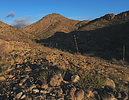photo thumbnail #2