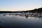 photo thumbnail #13
