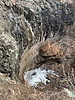 photo thumbnail #9