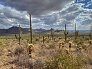 photo thumbnail #4