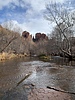 photo thumbnail #13