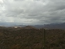 photo thumbnail #4