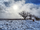 photo thumbnail #6