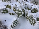 photo thumbnail #8
