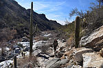 photo thumbnail #4