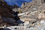 photo thumbnail #14