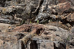 photo thumbnail #15