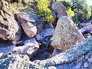 photo thumbnail #6