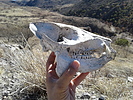 photo thumbnail #4