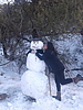photo thumbnail #10