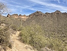 photo thumbnail #1
