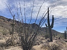 photo thumbnail #2