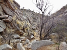 photo thumbnail #3