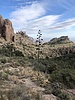 photo thumbnail #12
