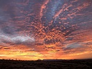 photo thumbnail #14