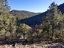 photo thumbnail #10