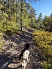 photo thumbnail #13