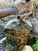 photo thumbnail #8