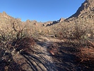 photo thumbnail #2