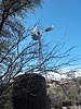 photo thumbnail #4