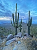 photo thumbnail #11