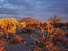 photo thumbnail #6