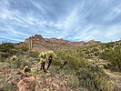 photo thumbnail #3