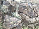 photo thumbnail #15