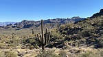 photo thumbnail #3