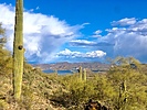 photo thumbnail #2