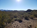 photo thumbnail #2