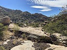photo thumbnail #6