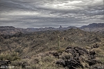 photo thumbnail #5