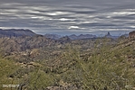 photo thumbnail #9