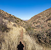 photo thumbnail #6