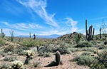 photo thumbnail #14