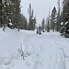 photo thumbnail #4