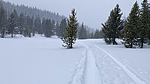 photo thumbnail #5