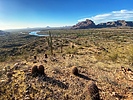 photo thumbnail #7