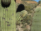 photo thumbnail #7