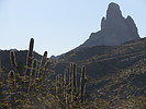 photo thumbnail #2