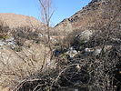 photo thumbnail #13