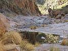 photo thumbnail #15
