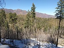 photo thumbnail #3