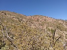photo thumbnail #12