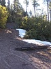 photo thumbnail #14