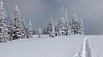 photo thumbnail #11