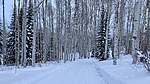 photo thumbnail #8