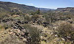 photo thumbnail #6