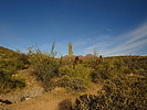 photo thumbnail #6